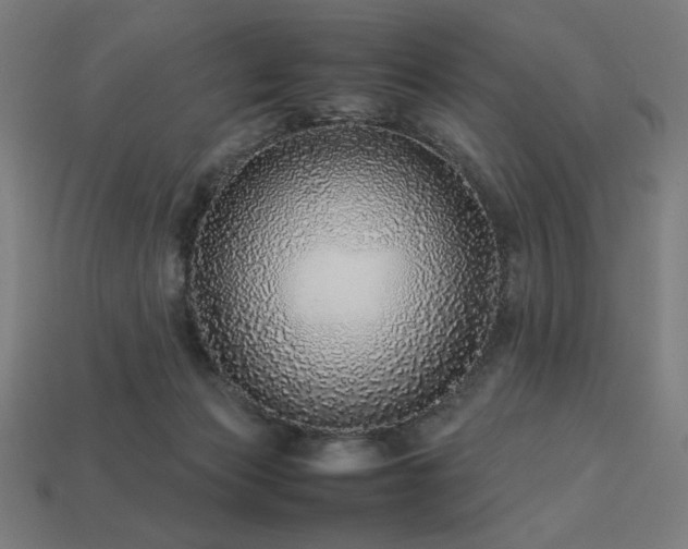 X0000113760173200909231212