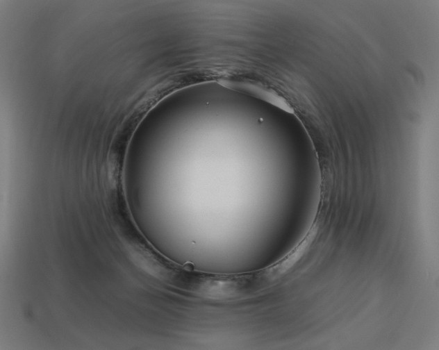 X0000113760174200909231212