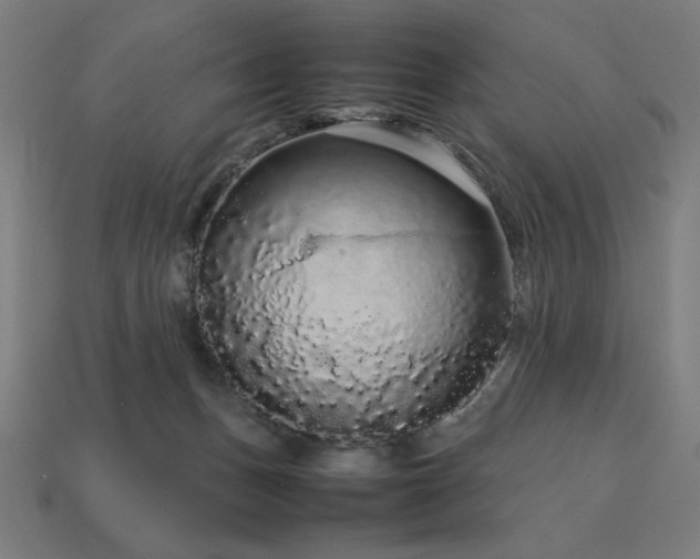 X0000113760175200909231212