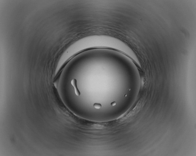 X0000113760176200909231212