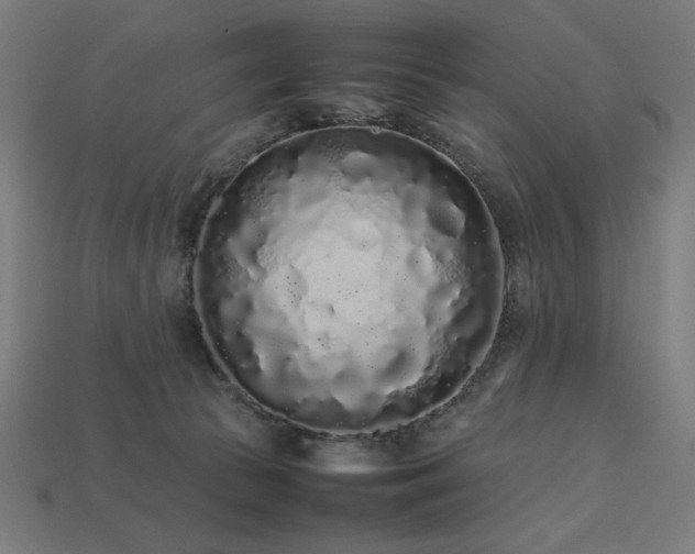 X0000113760177200909231212
