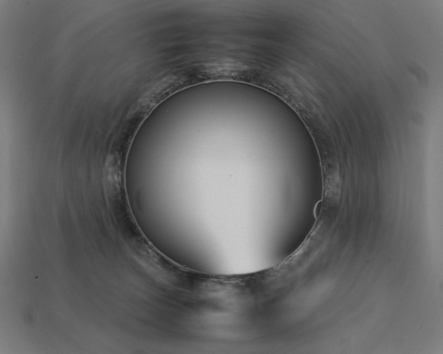 X0000113760179200909231212