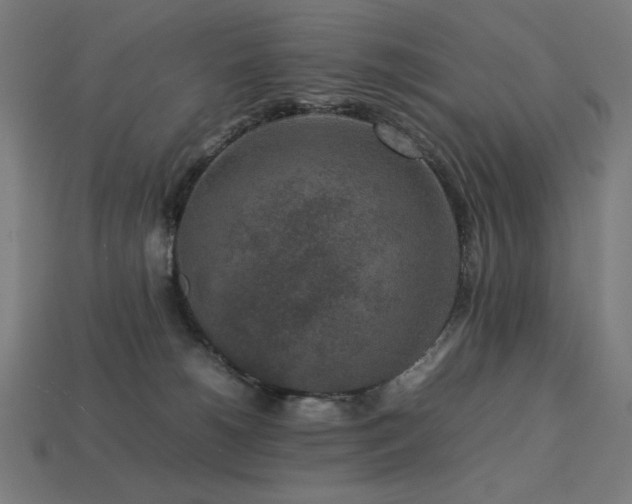 X0000113760180200909231212