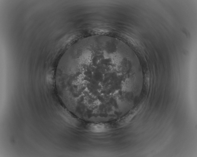 X0000113760181200909231212