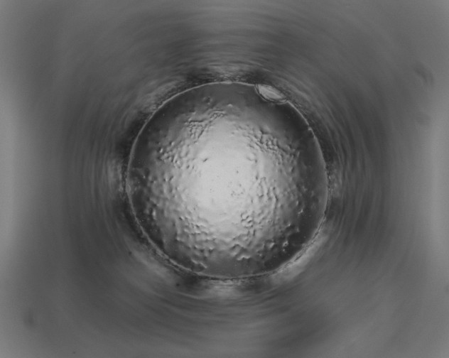 X0000113760182200909231212