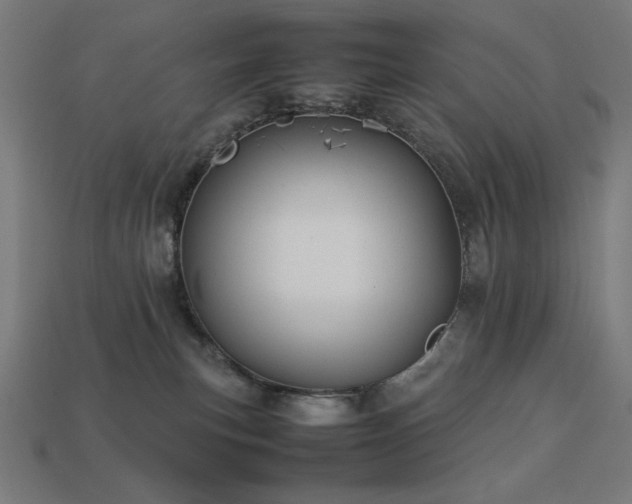 X0000113760183200909231212