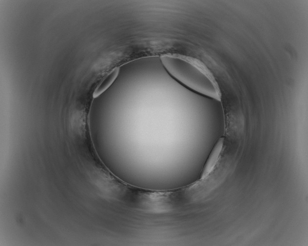 X0000113760184200909231212