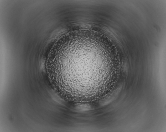X0000113760185200909231212