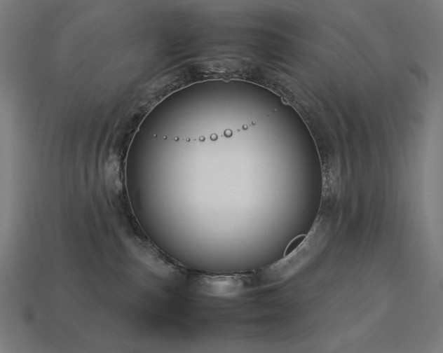 X0000113760187200909231212