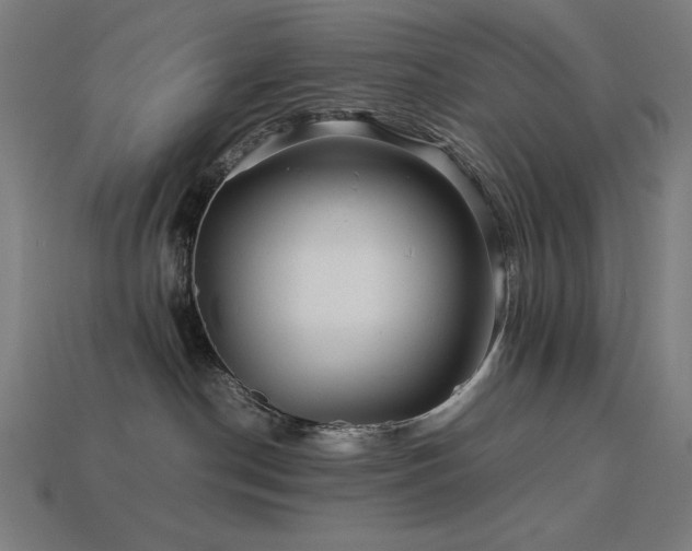 X0000113760190200909231212