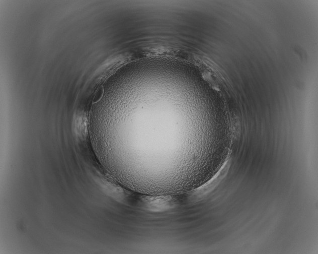 X0000113760191200909231212