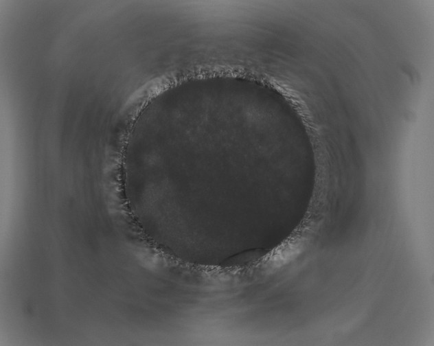 X0000113760192200909231212