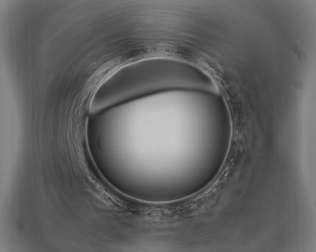 X0000113760193200909231212