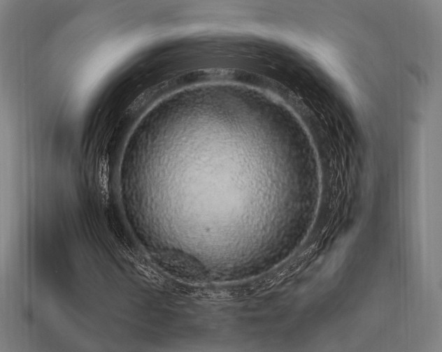 X0000113760194200909231212