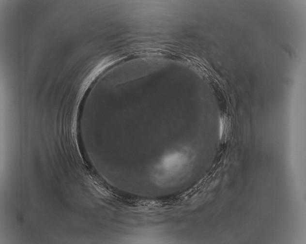 X0000113760195200909231212