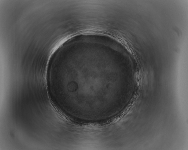 X0000113760196200909231212
