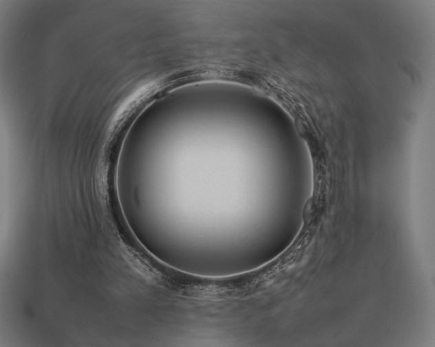 X0000113760197200909231212