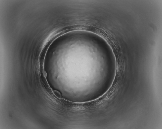 X0000113760198200909231212
