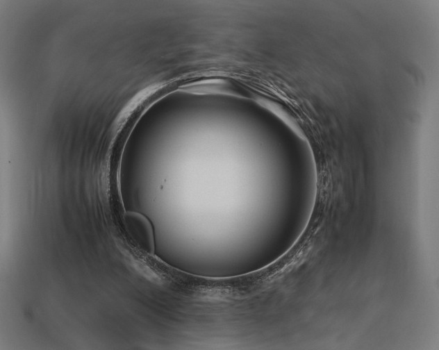 X0000113760200200909231212
