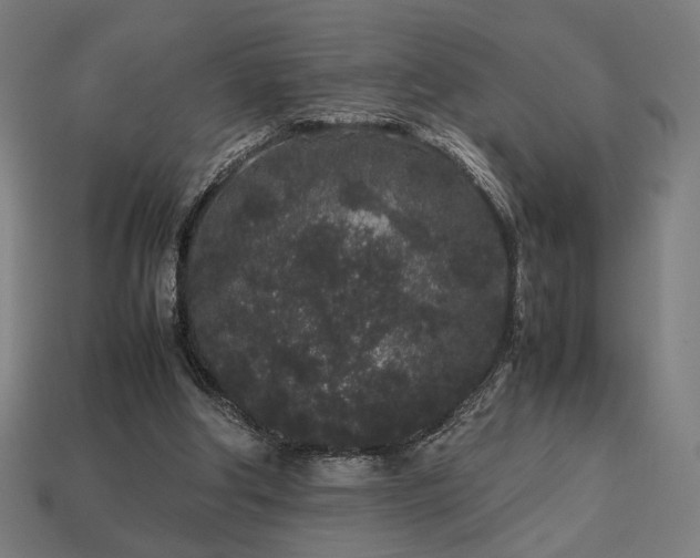 X0000113760202200909231212