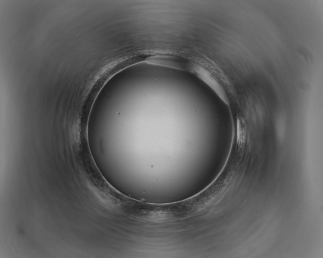 X0000113760204200909231212