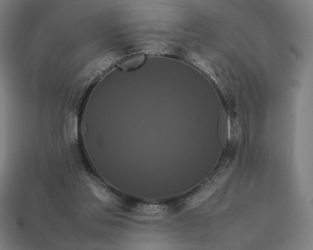 X0000113760205200909231212