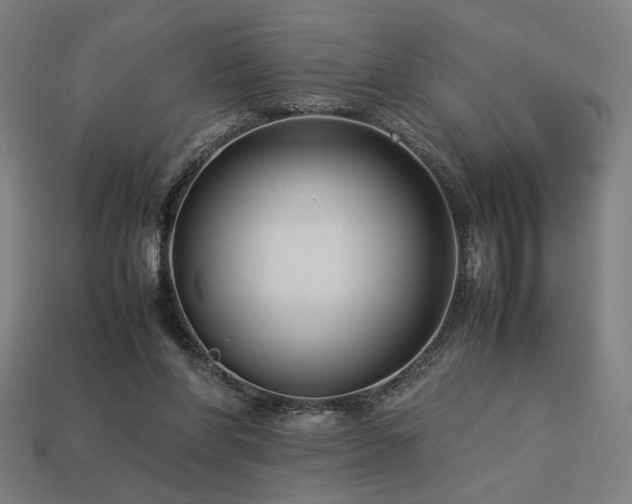 X0000113760206200909231212