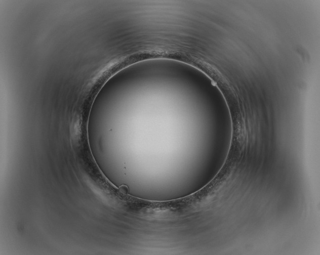 X0000113760208200909231212