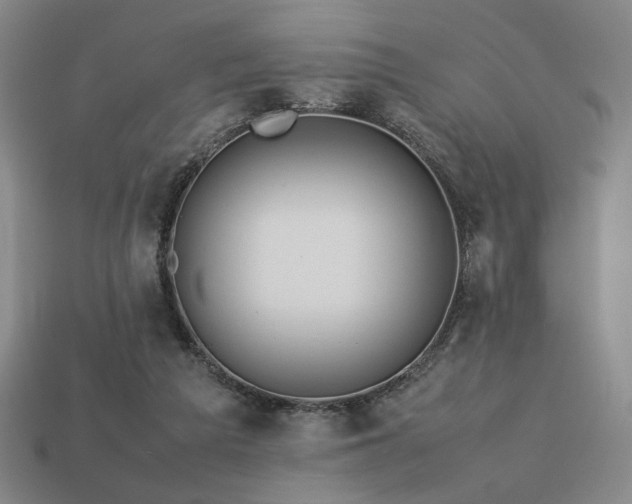 X0000113760209200909231212
