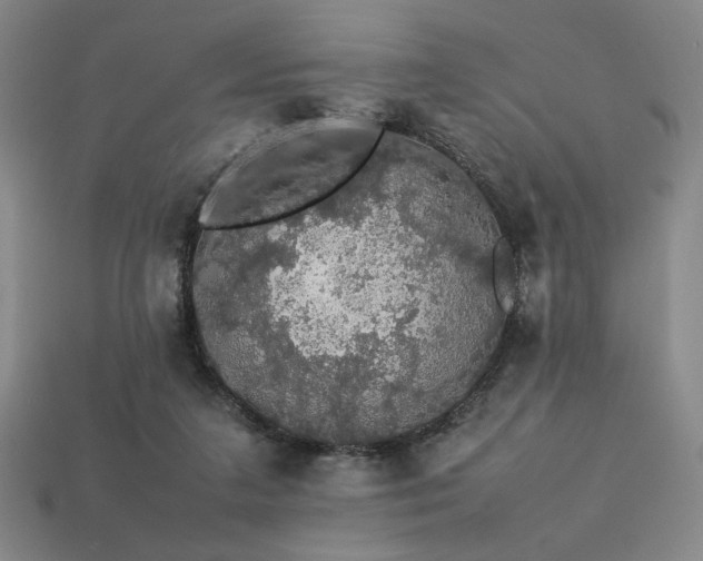 X0000113760211200909231212