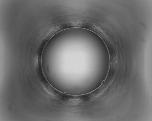 X0000113760213200909231212