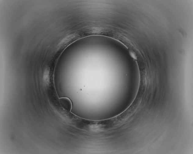 X0000113760216200909231212