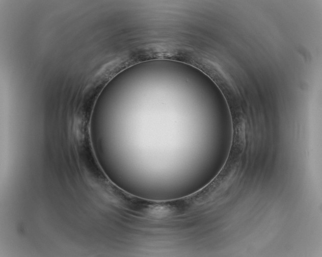 X0000113760218200909231212