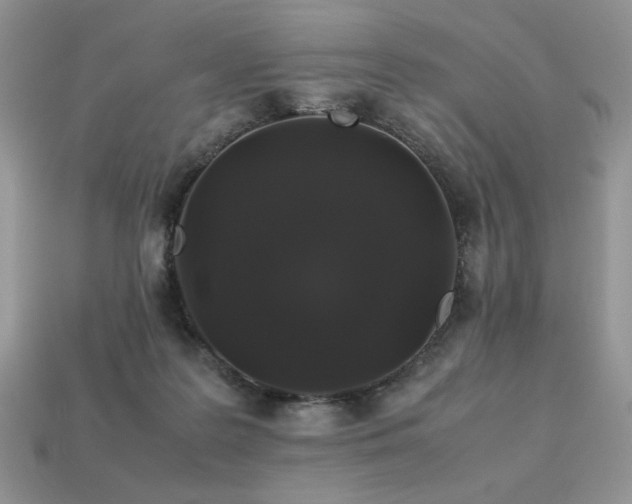 X0000113760219200909231212