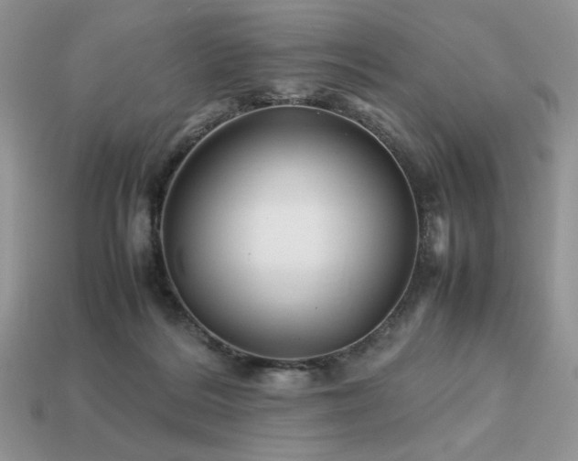 X0000113760220200909231212