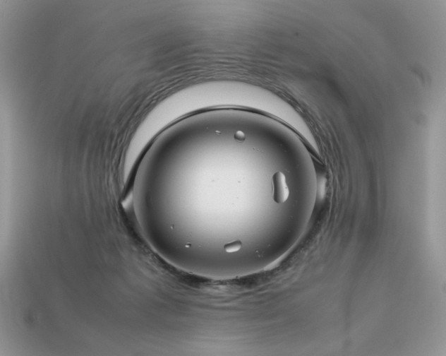 X0000113760221200909231212