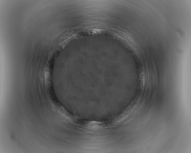 X0000113760222200909231211