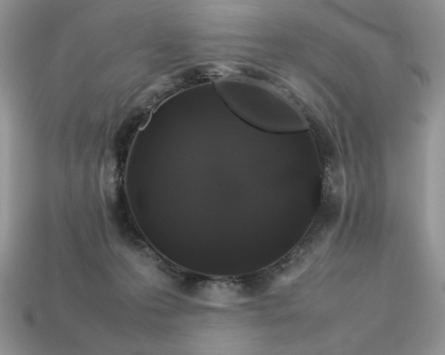X0000113760223200909231211