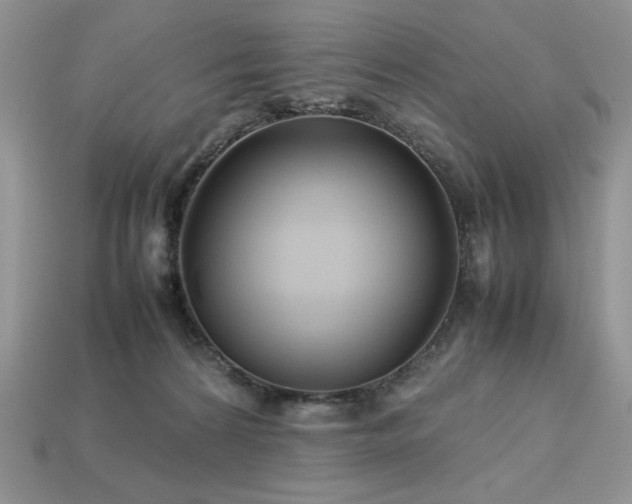 X0000113760224200909231211