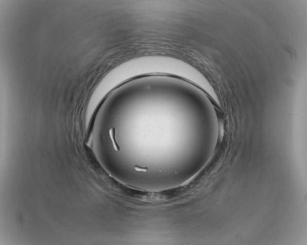 X0000113760225200909231211