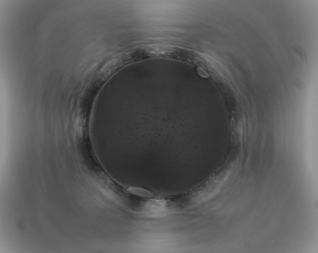 X0000113760227200909231211