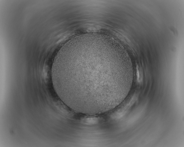 X0000113760228200909231211