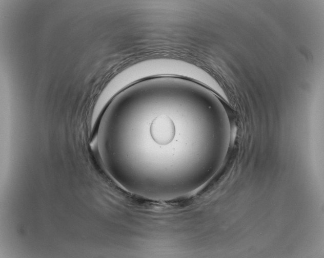 X0000113760229200909231211