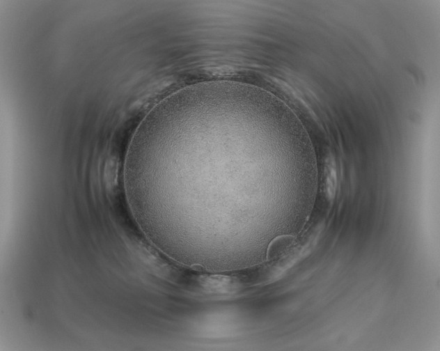 X0000113760230200909231211