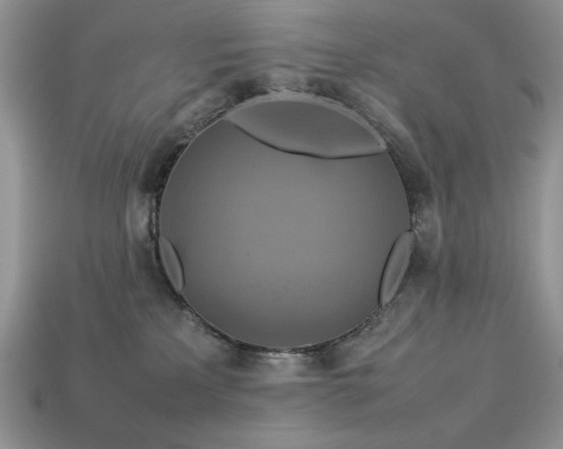 X0000113760233200909231211