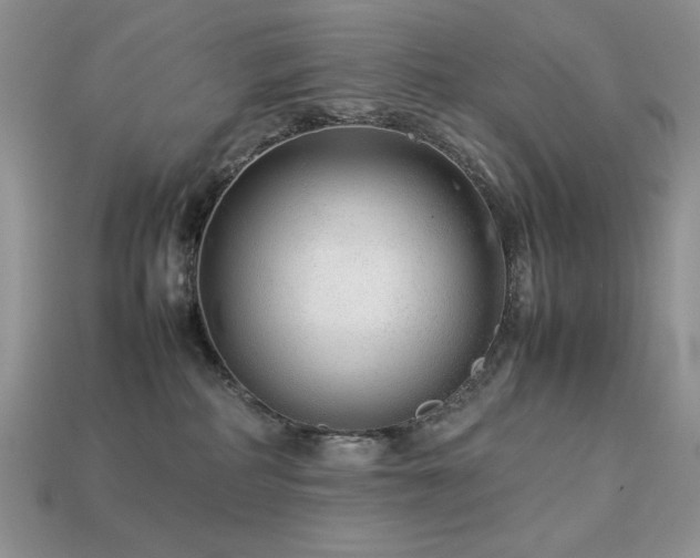 X0000113760234200909231211