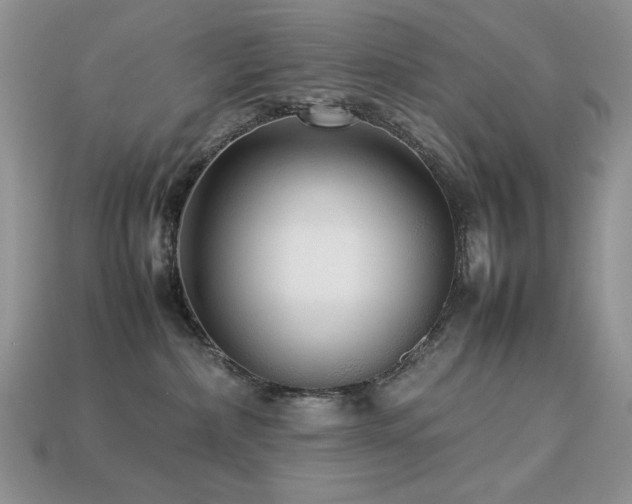 X0000113760236200909231211