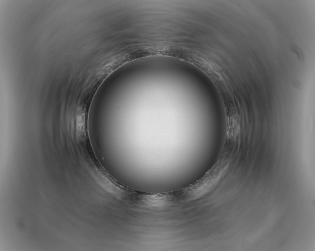 X0000113760238200909231211