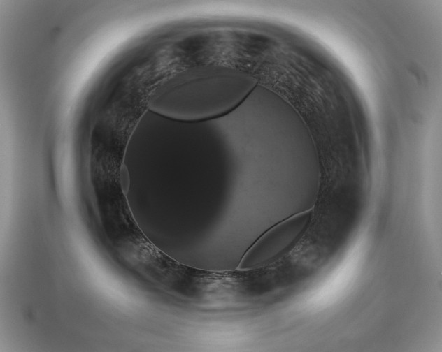 X0000113760239200909231211