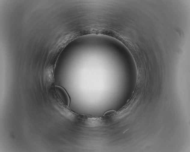 X0000113760240200909231211